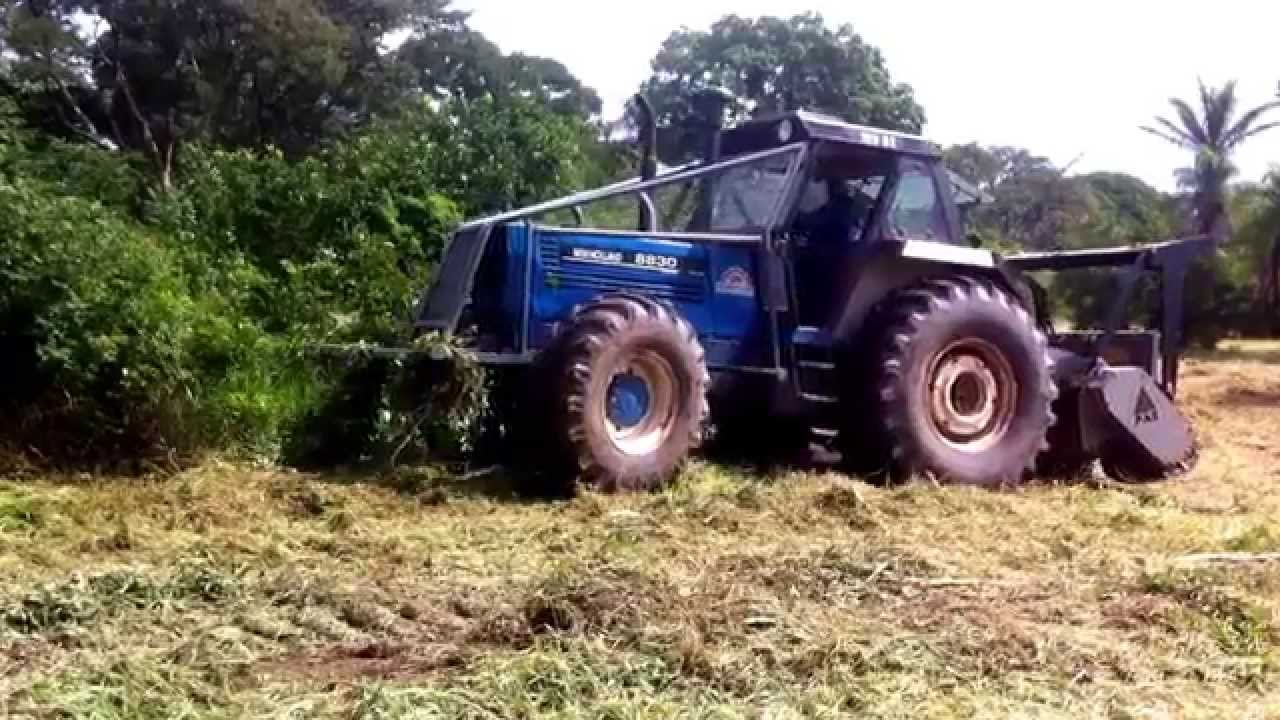 Triturador Forestal