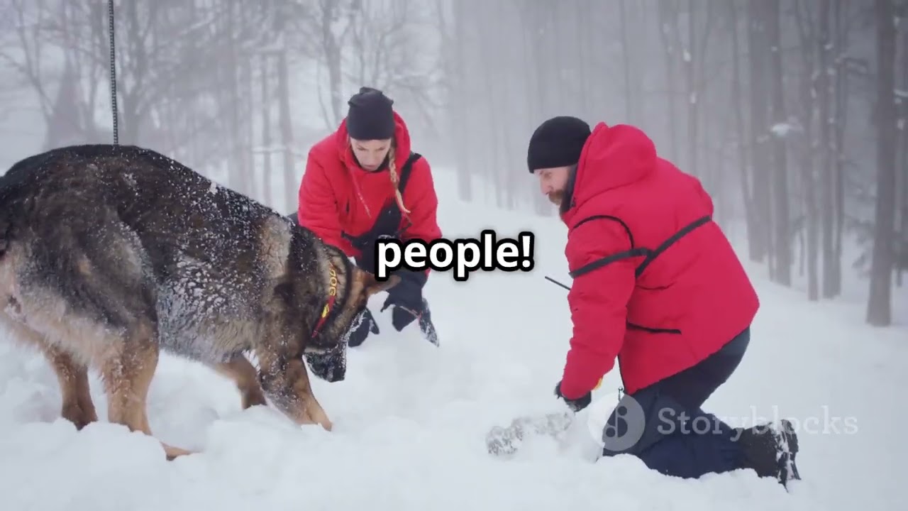 Unleashing the Power of Police Dogs! #PoliceDogs #K9Unit #DogHeroes #LawEnforcement #CanineCops