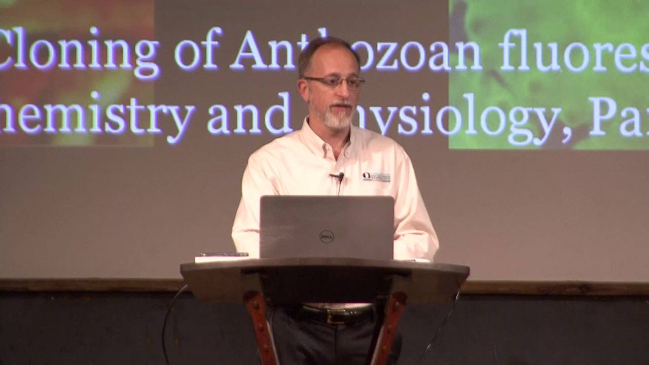 Dr. Robert Carter: Evolution's Achilles' Heels