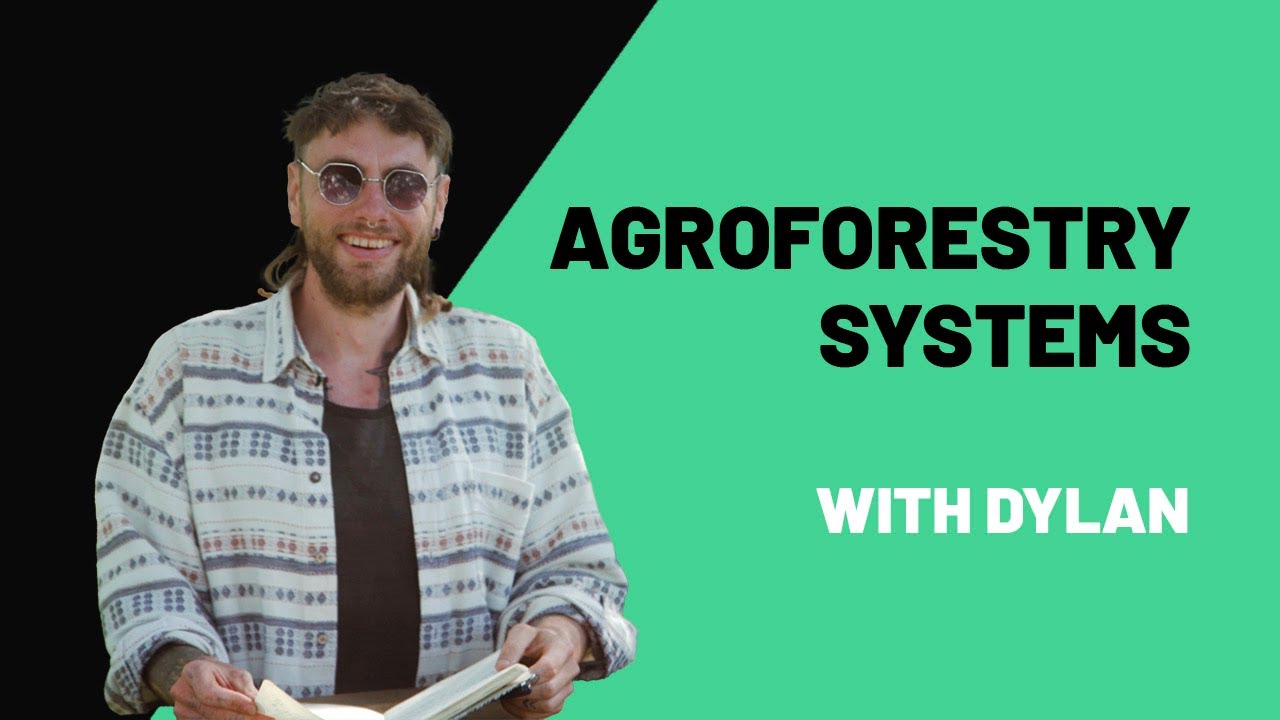 Agroforestry Systems with Dylan (Intro)
