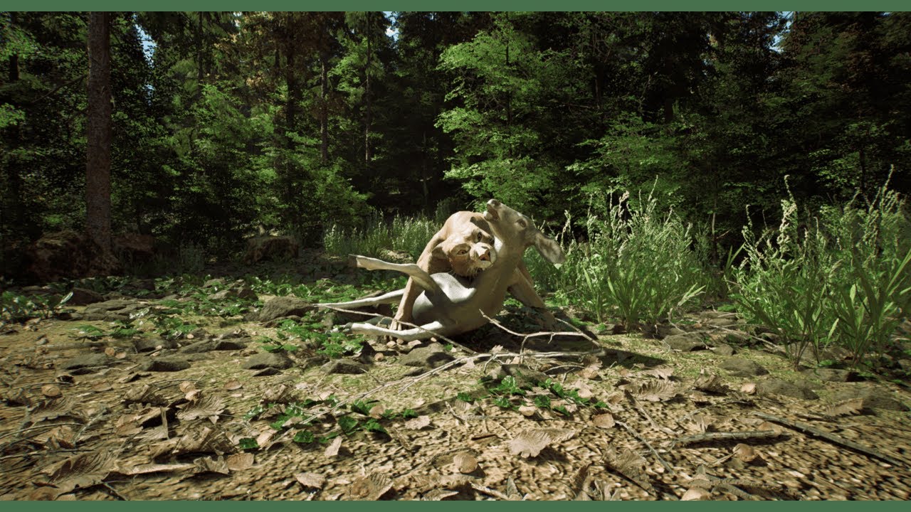 Untamed Kingdom  - The Wild | 2.8.6 |