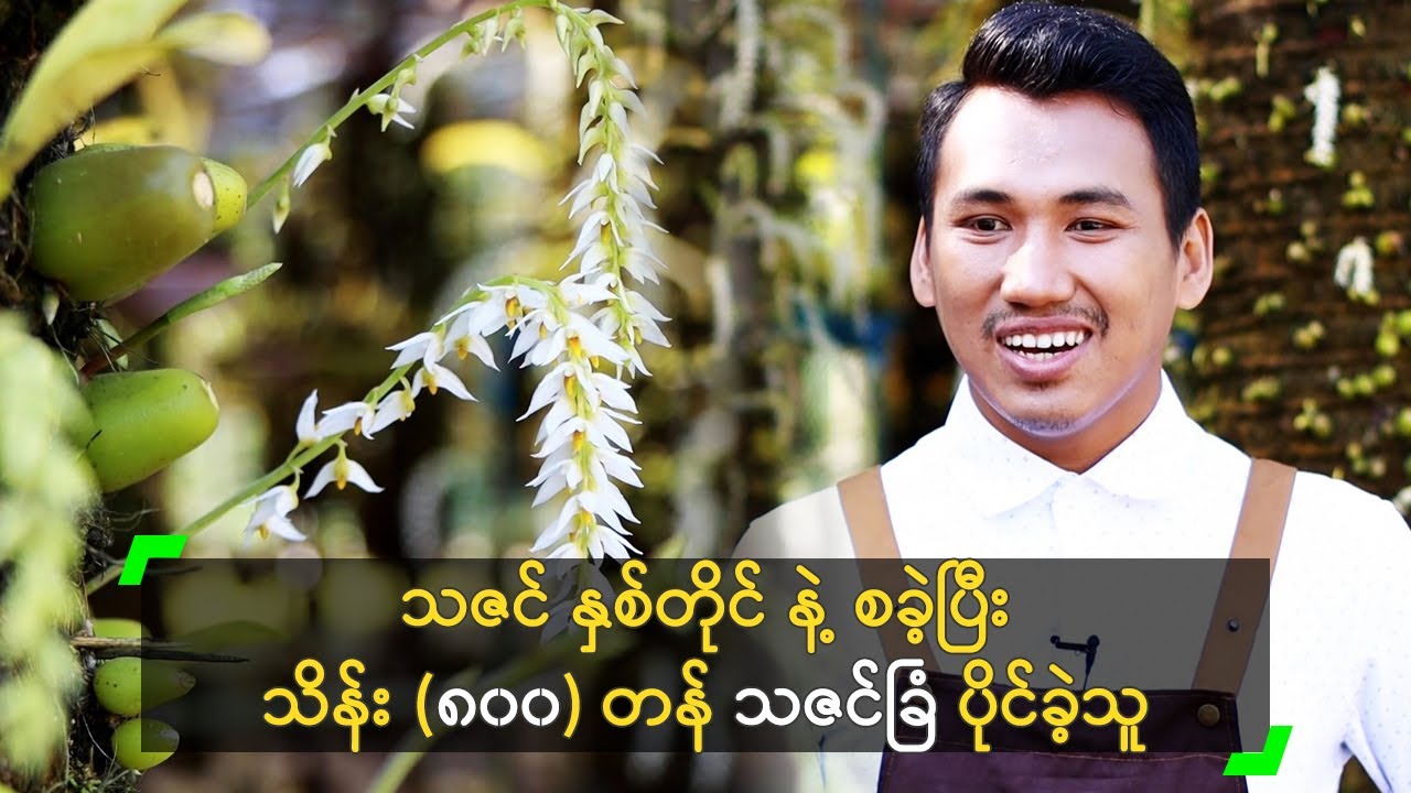 သဇင် နှစ်တိုင် နဲ့ စခဲ့ပြီးသိန်း (၈၀၀) တန် သဇင်ခြံ ပိုင်ခဲ့သူ
