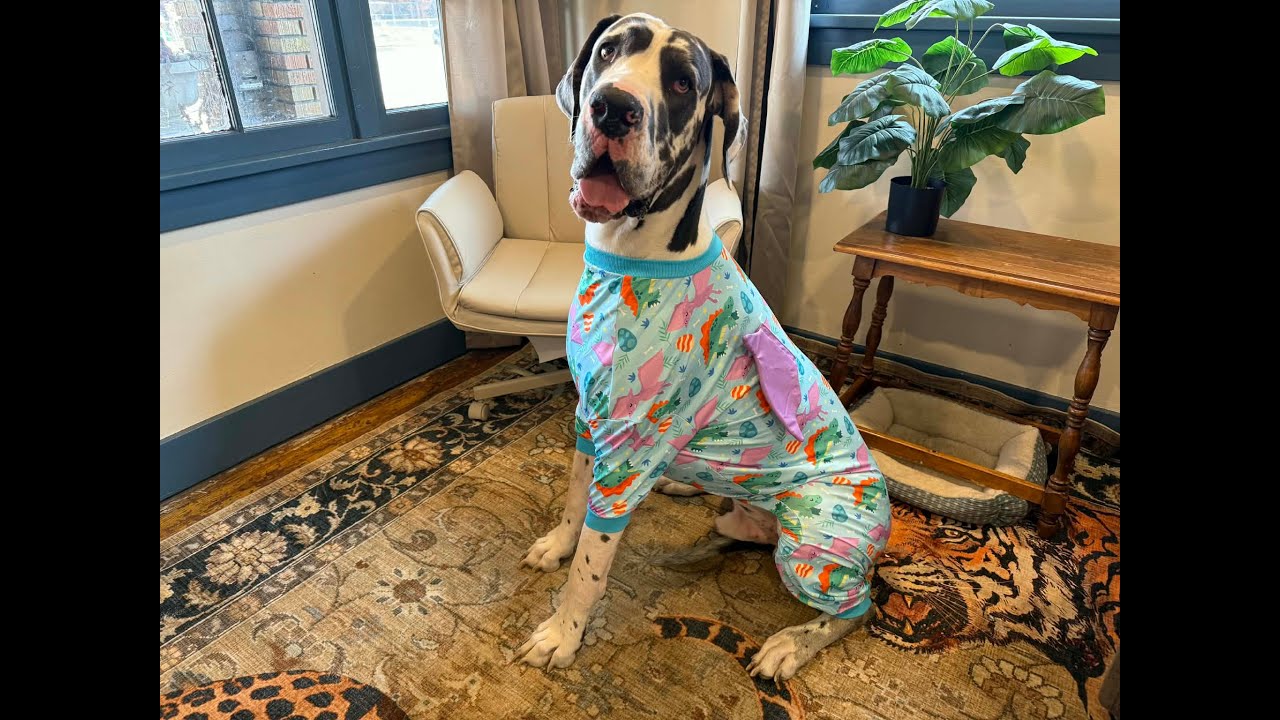 Finally some jammies that fit!! MD all the way to 3XL!