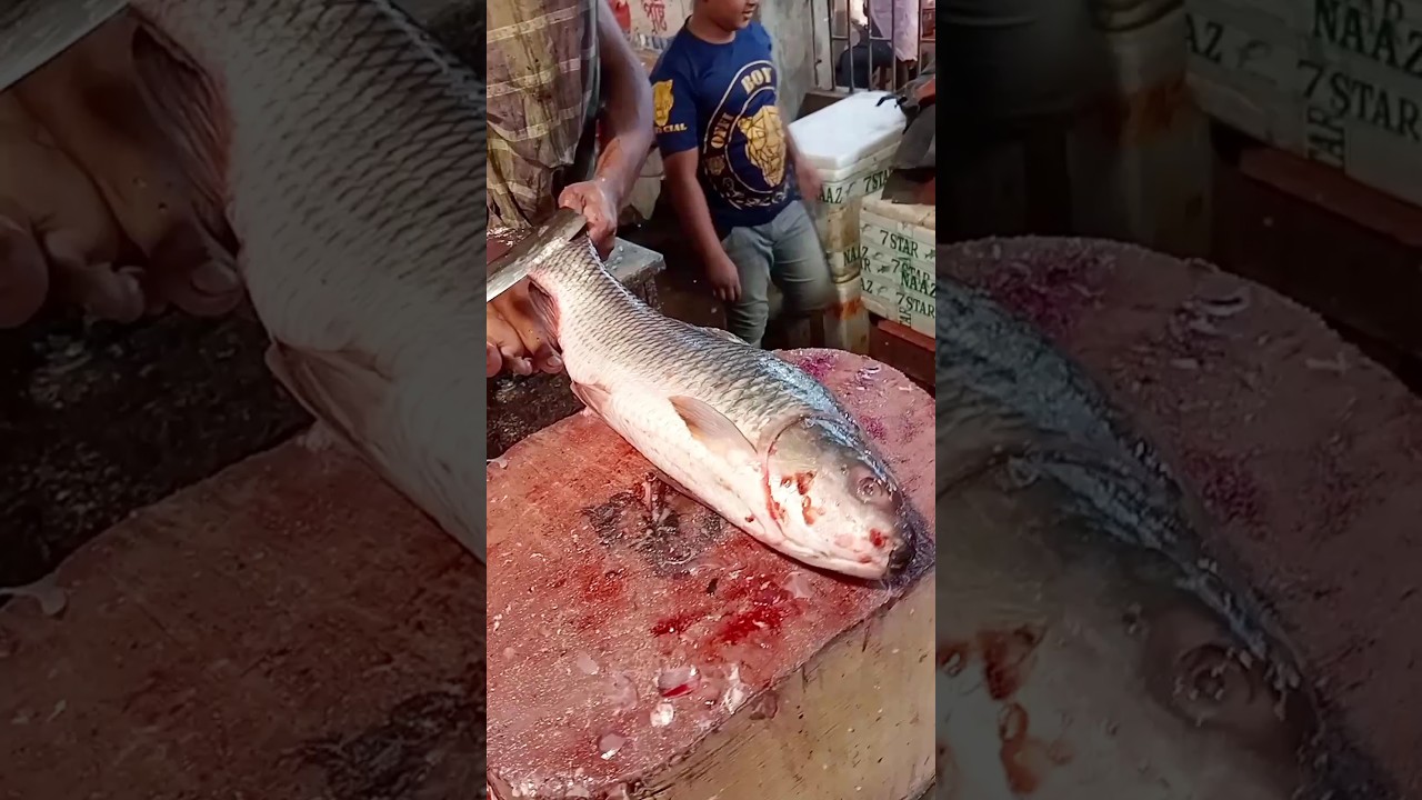 Amazing Big Mrigal Fish Cutting Skills Live In BD Fish66#Market