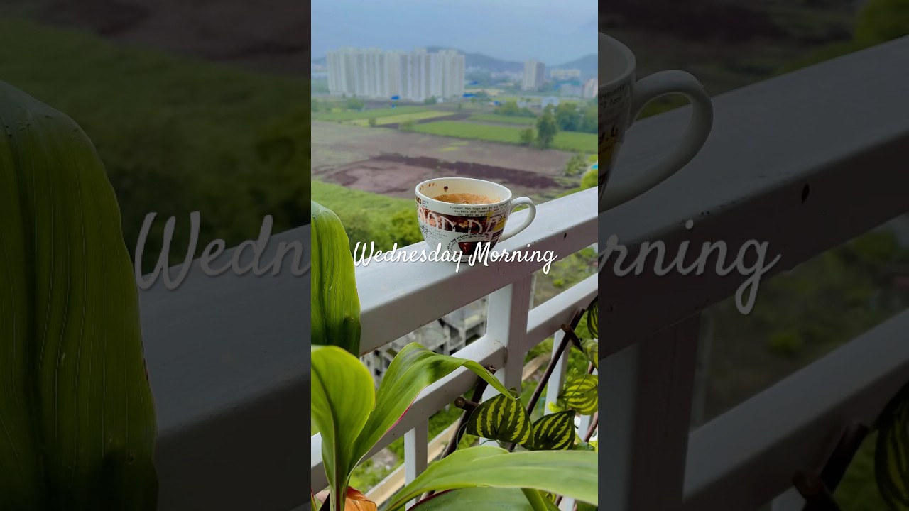 Coffee lover#dailylife #dailyvlog #yoitubeshorts #shortsfeed #wednesday #topsearch