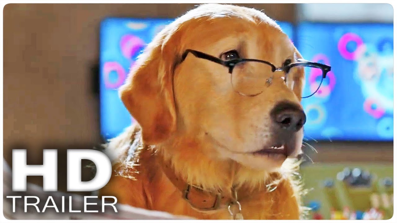 COMO PERROS Y GATOS 3 PATAS UNIDAS Tráiler Español (2020)