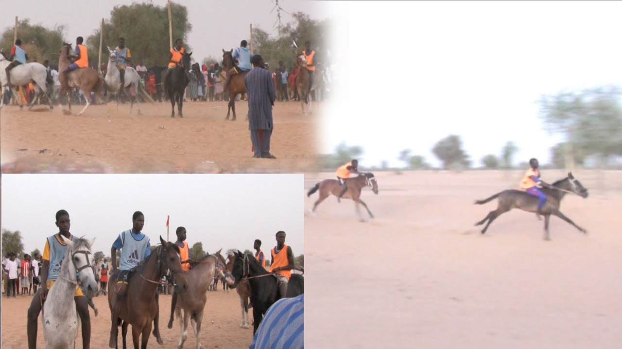 🔴 2ème Journée Courses Hippiques à Thiamène 🐴🐴