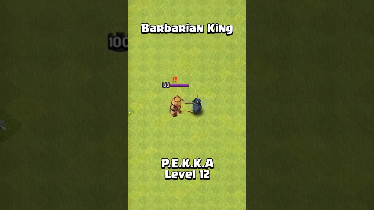 Every Level Barbarian King VS Every Level Pekka | Clash Of Clans