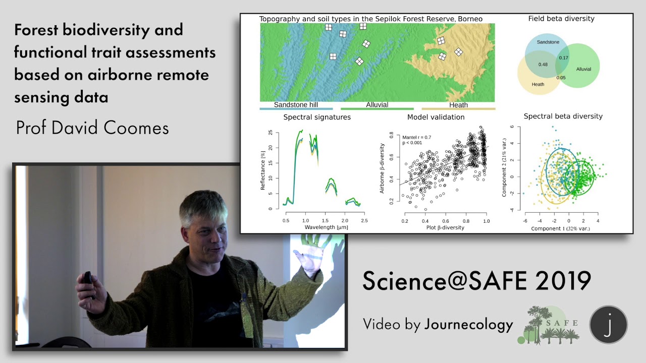 Forest biodiversity and functional trait assessments based on airborne remote sensing data