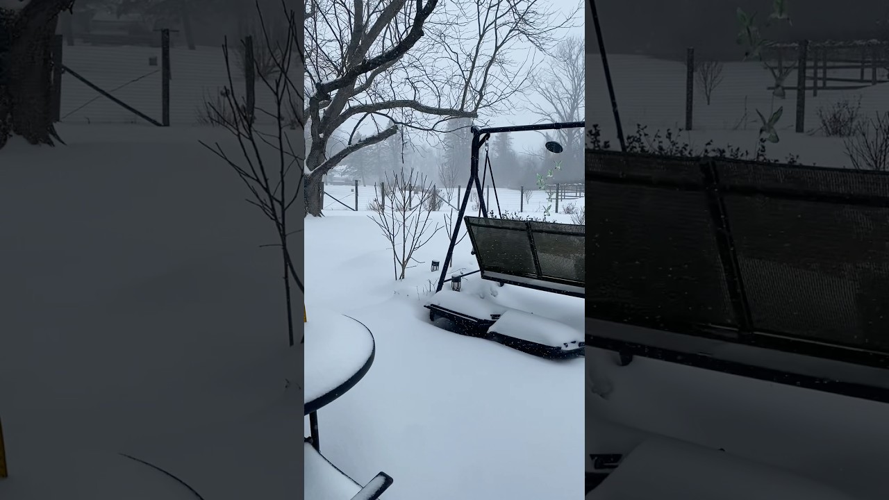 #winterstorm2026 🇺🇸#cold 🥶❄️☃️#heavysnowfall