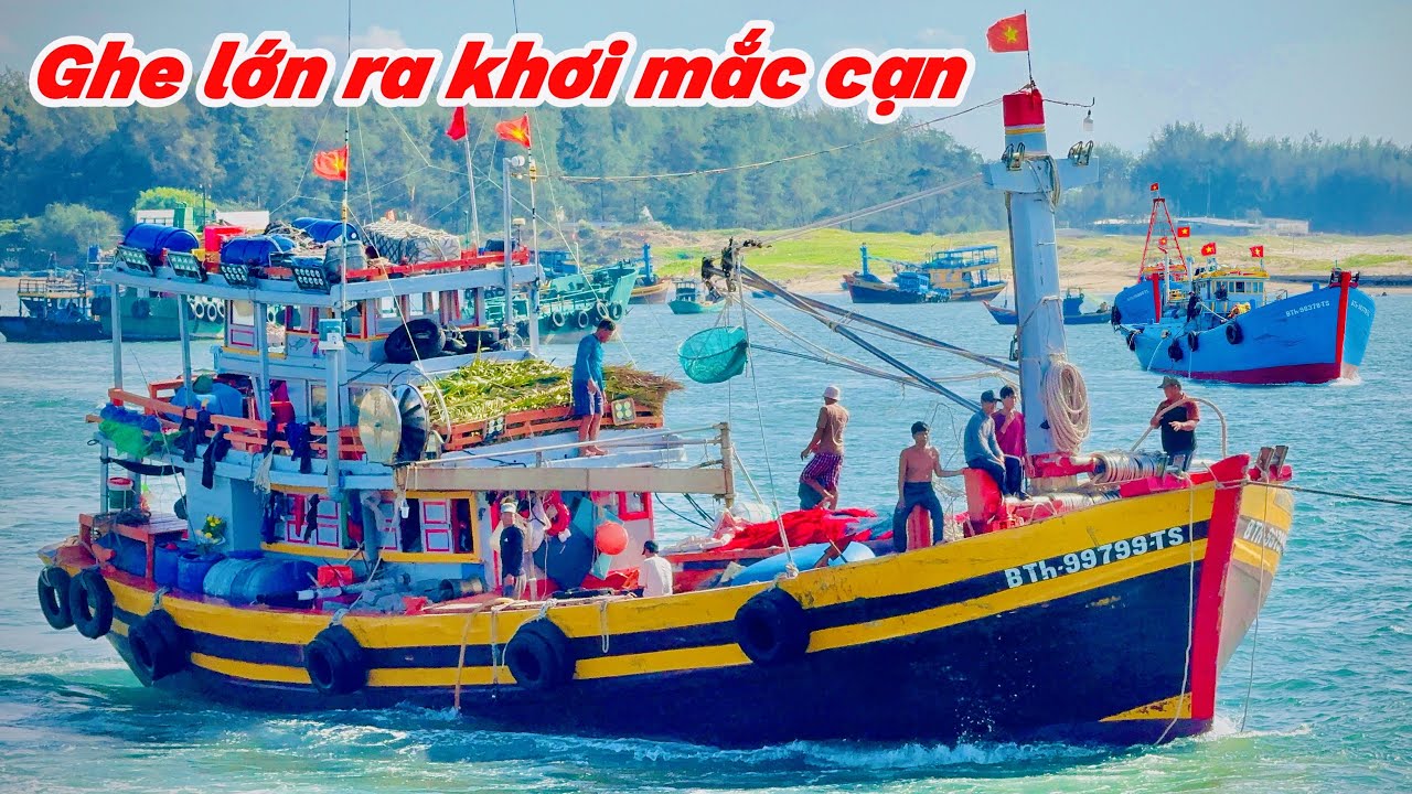 Toàn Ghe Siêu Lớn Ra Cửa Biển La Gi Quá Đẹp | Ghe Vào Cảng Mang Theo Nhiều Cá