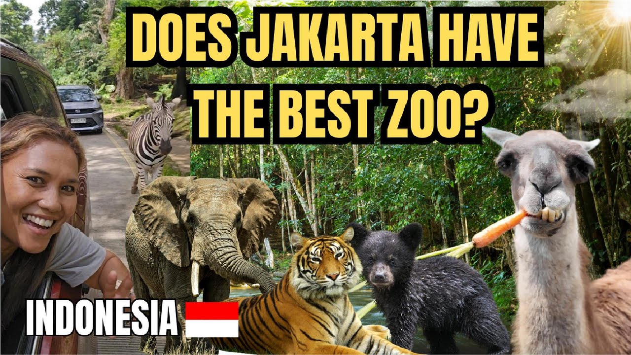 Is Taman Safari Indonesia the Ultimate Family Adventure in Jakarta? |Wildlife, Fun & Food!