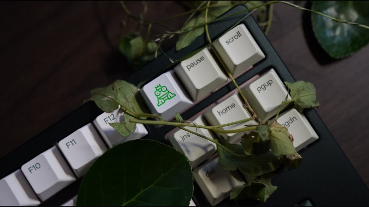 Frog TKL (상구리)