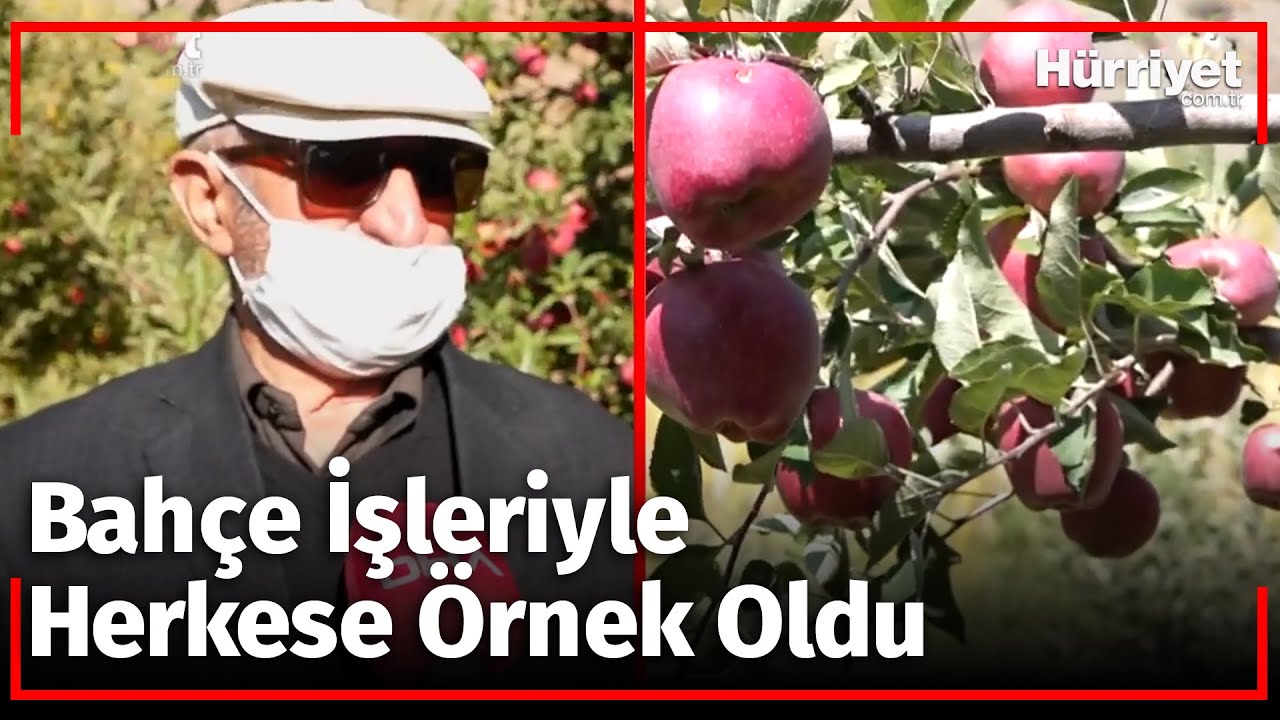 'Buralarda Ağaç Yetişmez' Dediler, O Pes Etmedi! İşte Sonuç...