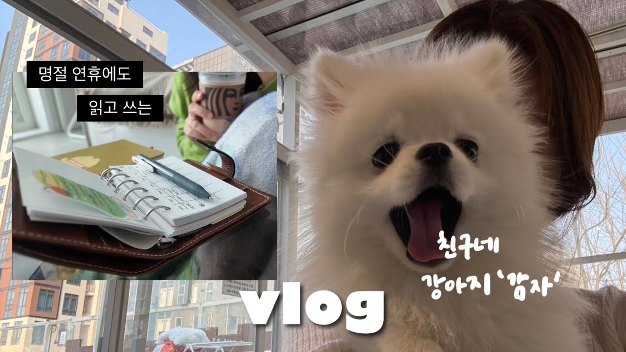 vlog 읽고 쓰며 보낸 휴가 일상. 파일로팩스 몰든. 먼슬리 만들기. 문구덕후. 공부하는 갓생 직장인. 아기 강아지랑 애견카페. 샌드위치 레시피. 오즈모 포켓3 브이로그