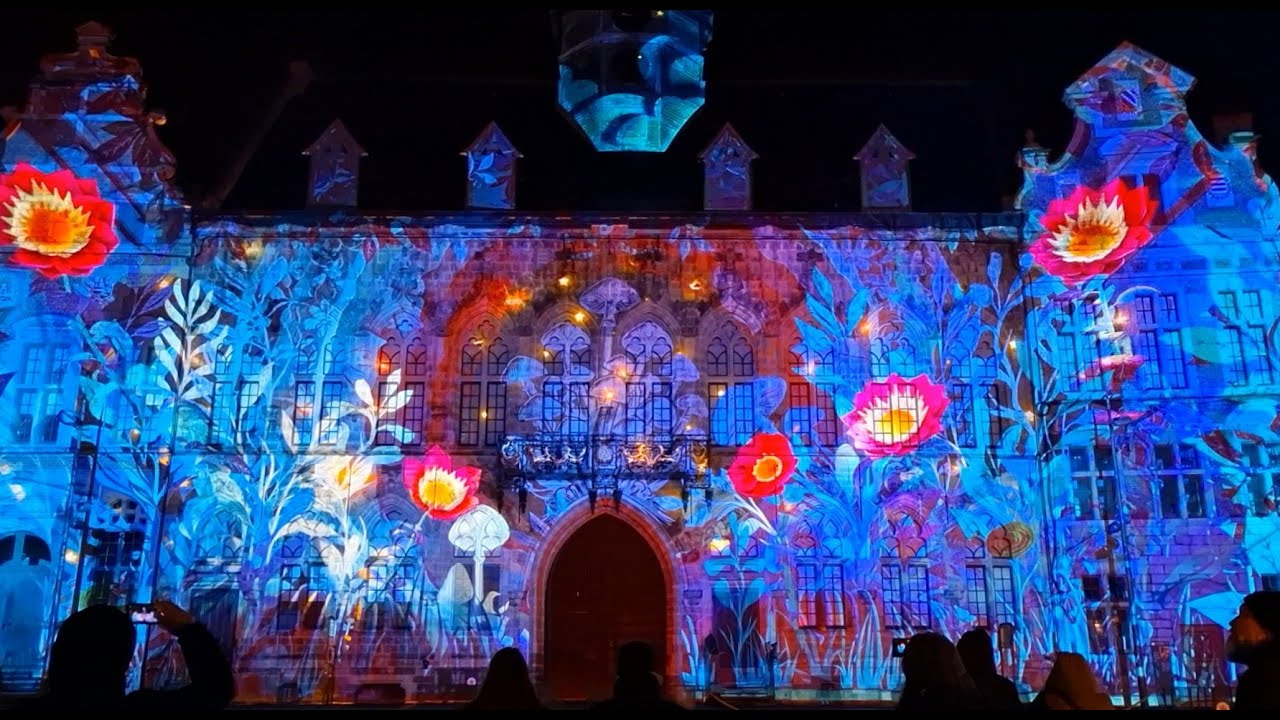 Mons en Lumières 2025 - Luciole
