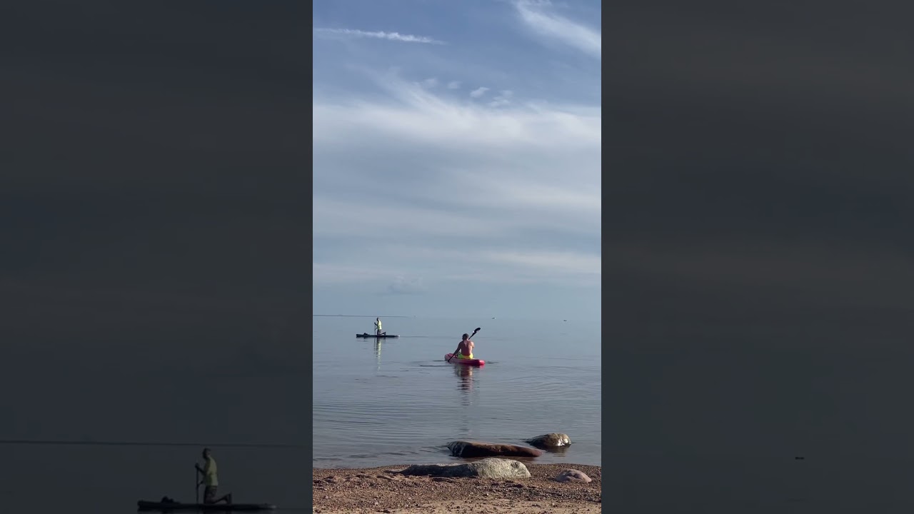 🌊 #travel #beach #summer #поход #nature #turtle #смешныевидео #camping #sunset
