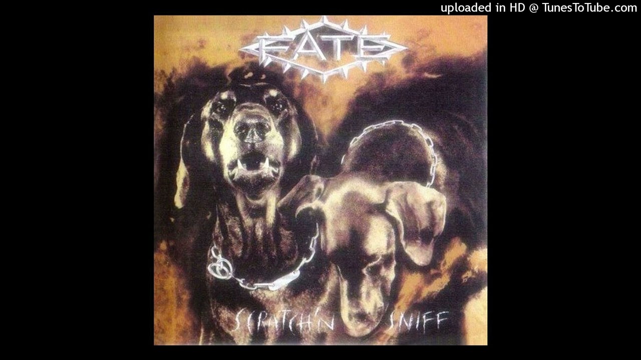 Fate - Freedom