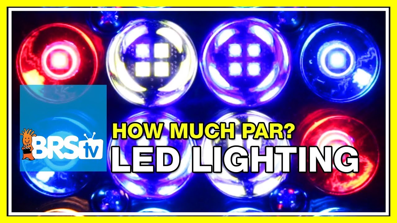 Week 21: LED Reef Lighting: Tuning PAR, Spread, and Spectrum. | 52 Weeks of Reefing