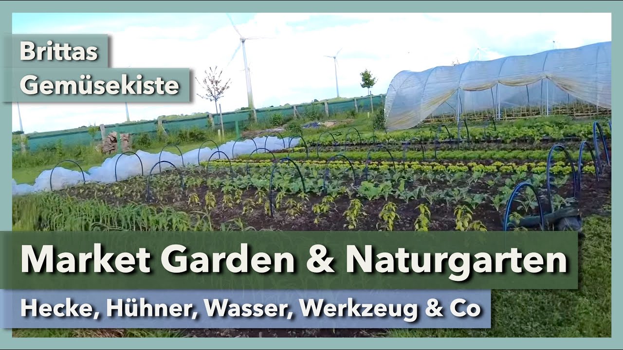 Market Garden im Naturgarten - Hecke, Hühner, Wasser, Werkzeug | Brittas Gemüsekiste | 2024 | Teil 4
