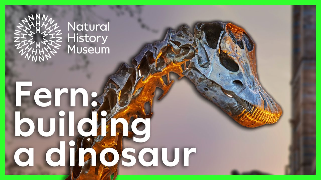 Creating a bronze dinosaur for the Natural History Museum gardens | The story behind Fern