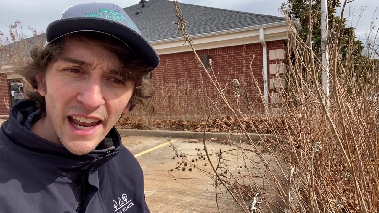 Office Pollinator Garden - Winter Maintenance