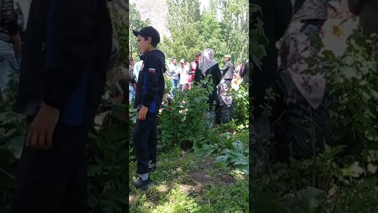 туй дар жиргатол