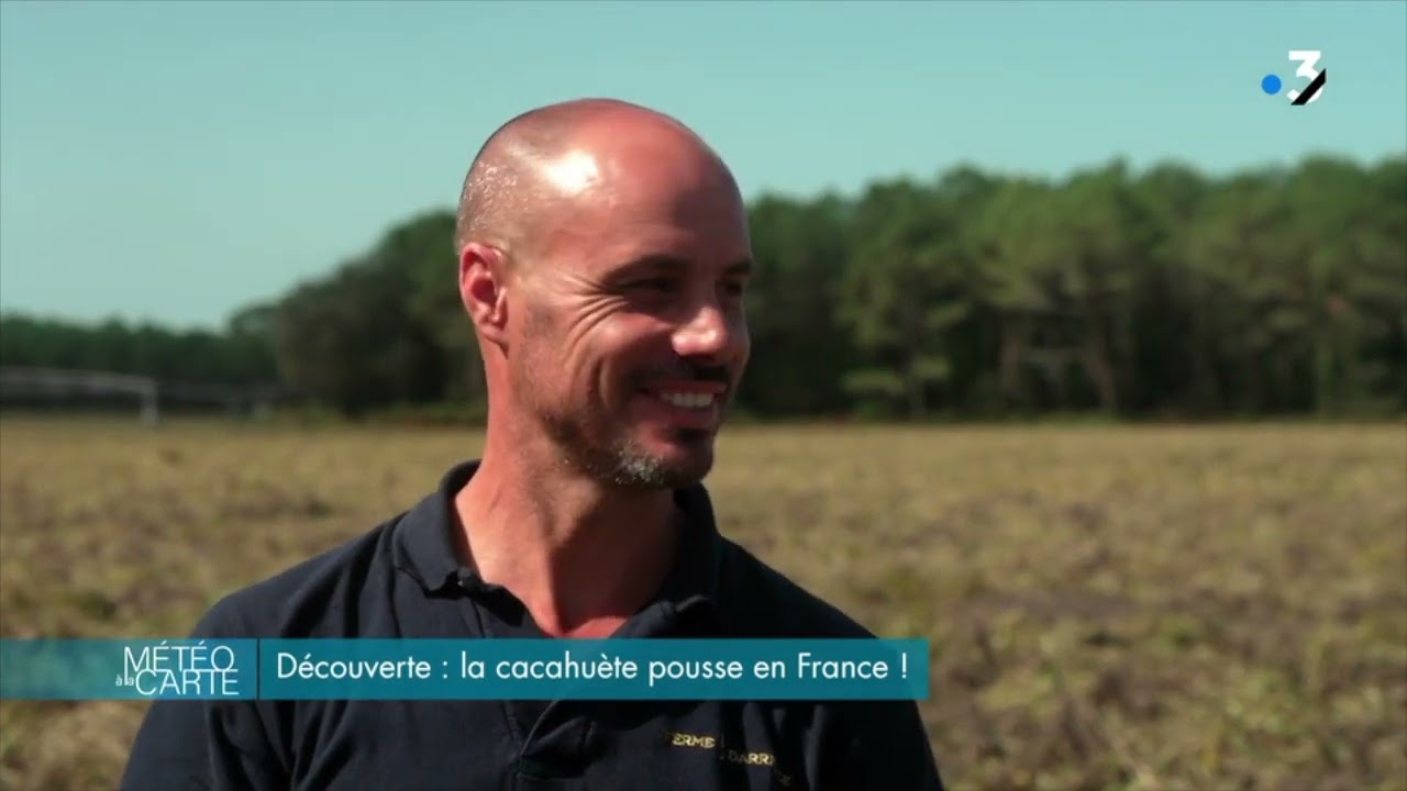 La cacahuète de Soustons dans 