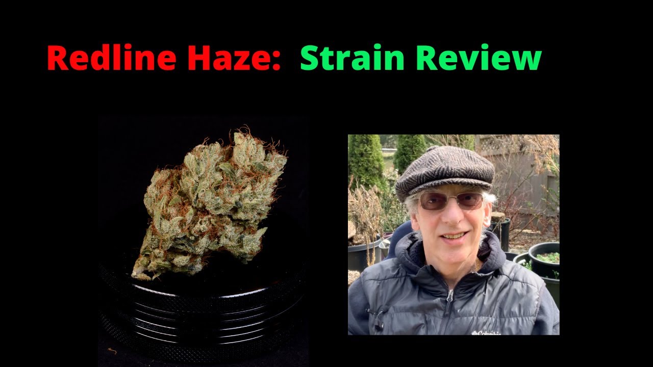 Redline Hase Cannabis Strain Review