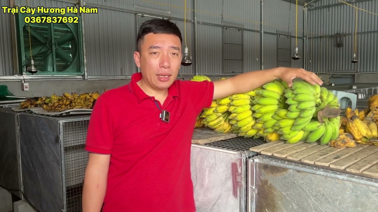 chuẩn bị từ những khâu nhỏ nhất chăn nuôi cầy hương