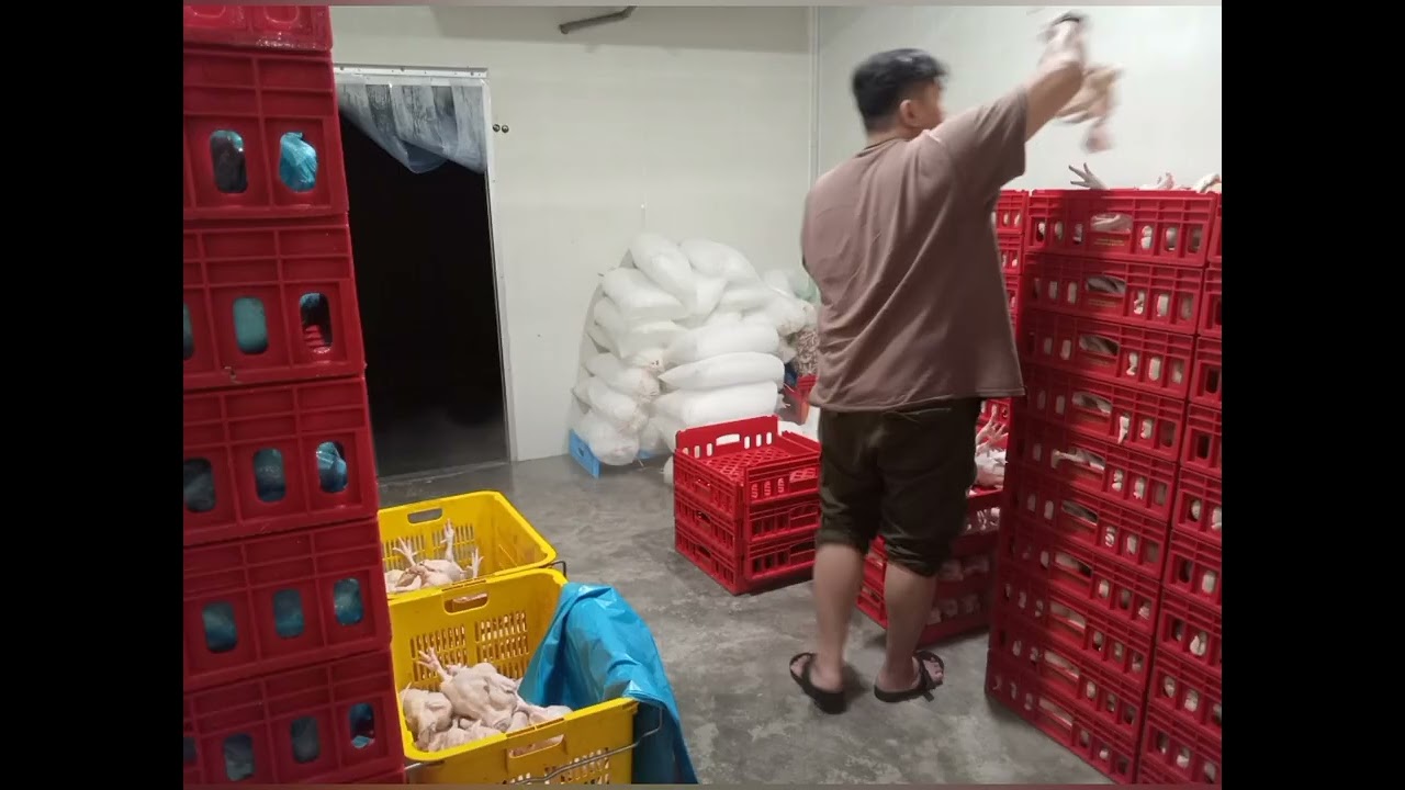 ADiRizqi Chicken ( Pemborong, Pembekal Dan Penjual Ayam Segar )