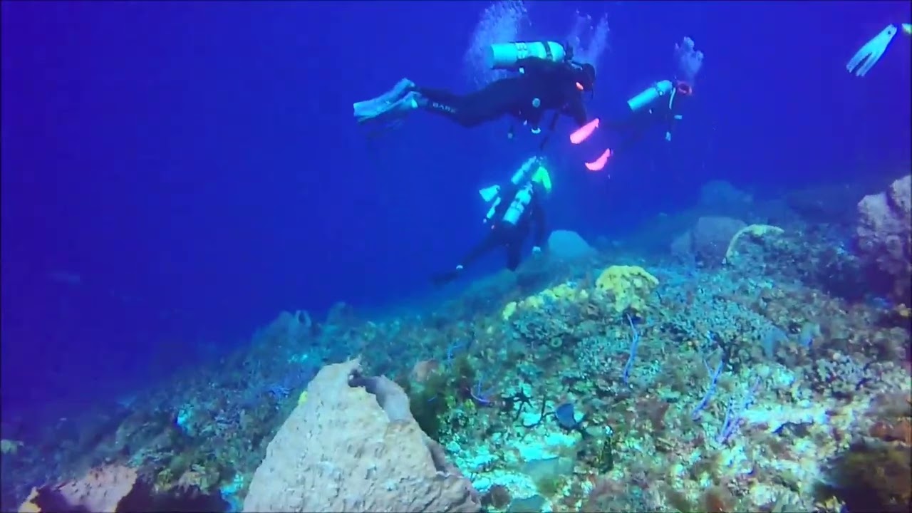 Fifth Dive Cozumel 2026