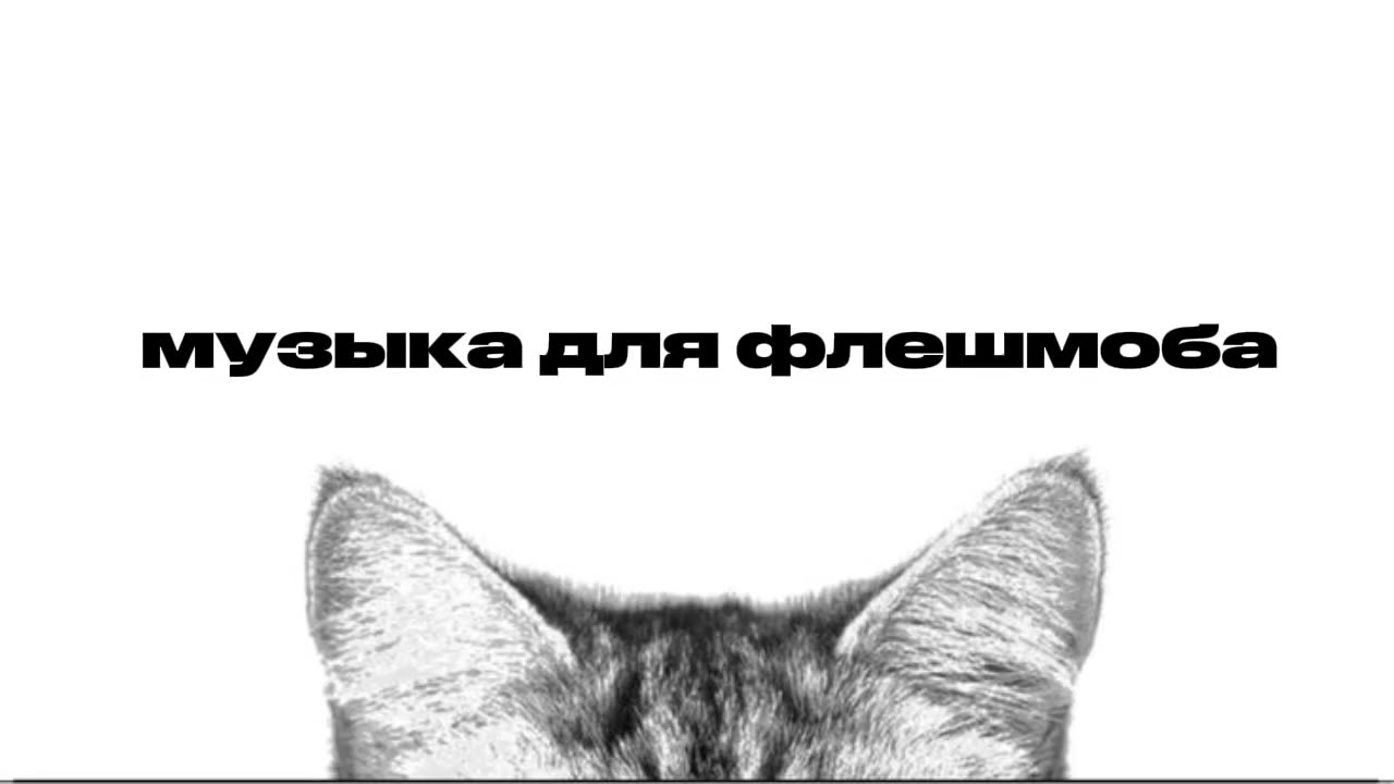 [🐈‍⬛] МУЗЫКА ДЛЯ ФЛЕШМОБА 2025🤍