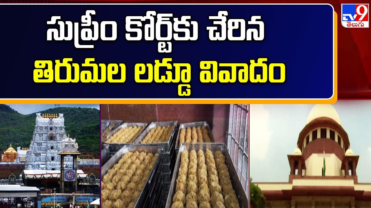 సుప్రీం కోర్ట్‌కు చేరిన తిరుమల లడ్డూ వివాదం | Tirumala Tirupati Laddu Row - TV9