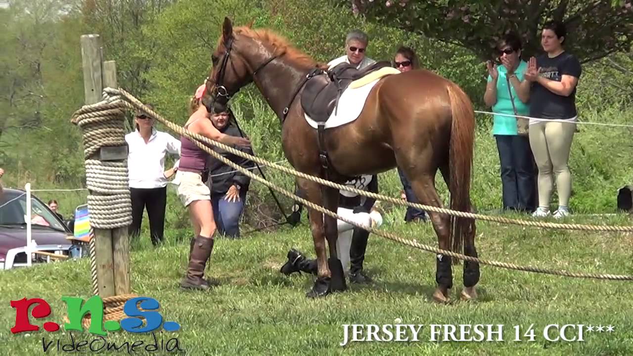 Jersey Fresh 14 CCI 3 Star Cross Country Water