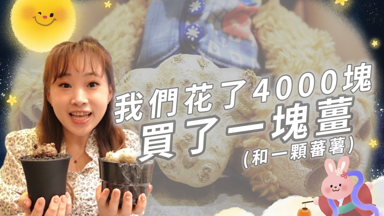 【塊根開箱】原產惠比須笑&大葉山烏龜｜歷時9個星期完整記錄｜超簡單超安全浸盆誘根法｜A&Y's Caudex Unboxing