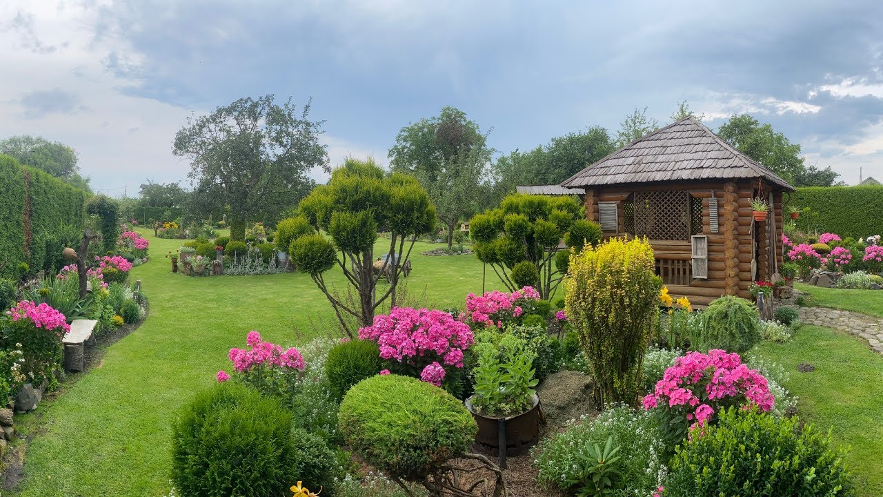 ФЛОКСИ, яких немає більш НІ В КОГО! Щоб вони БУЯЛИ! UKRAINIAN GARDEN!