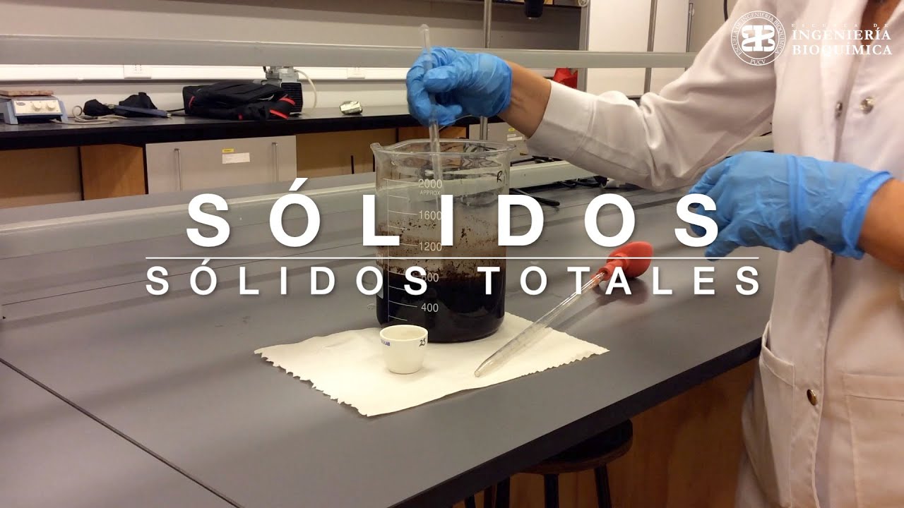 SOLIDOS TOTALES 2021
