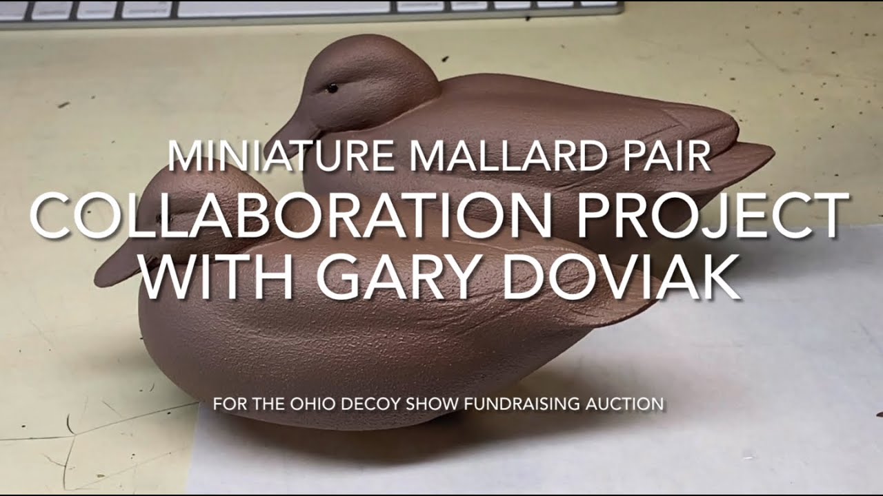 Парное сотрудничество Mini Mallard с Гэри Довиаком — сессия 1