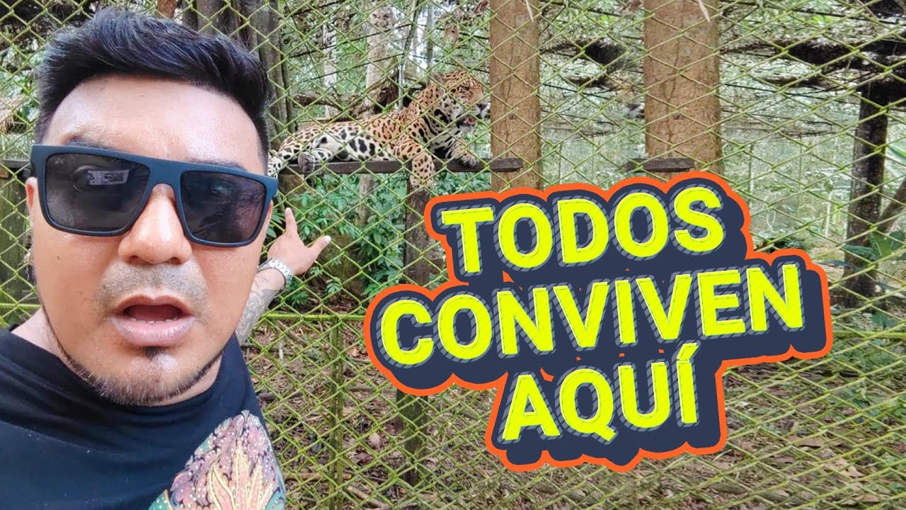 Visit&eacute; el Zool&oacute;gico m&aacute;s famoso del Amazonas | encontr&eacute; Jaguares y Anacondas Gigantes | Quistococha🇵🇪