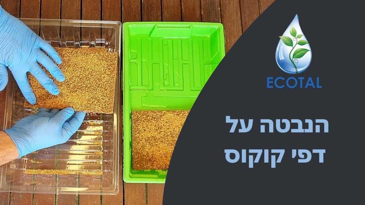 הנבטה על דפי קוקוס