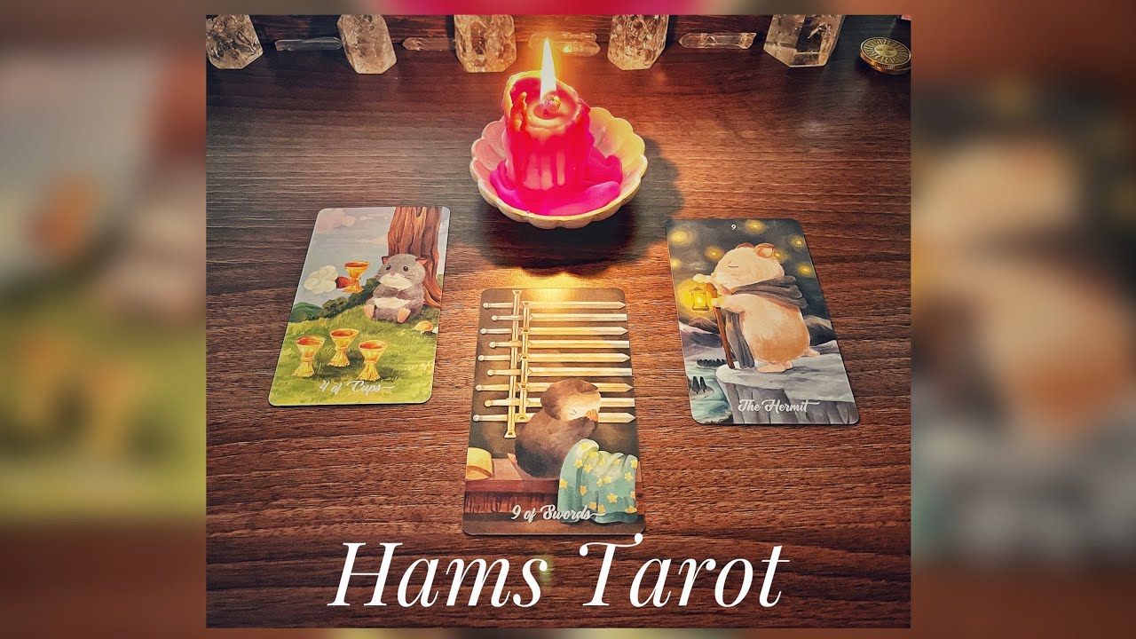 Hams Tarot! The Cutest Deck Ever?