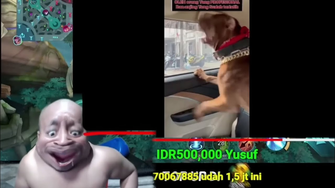 Yusuf meresahkan pascol dihujat mirip muso😂