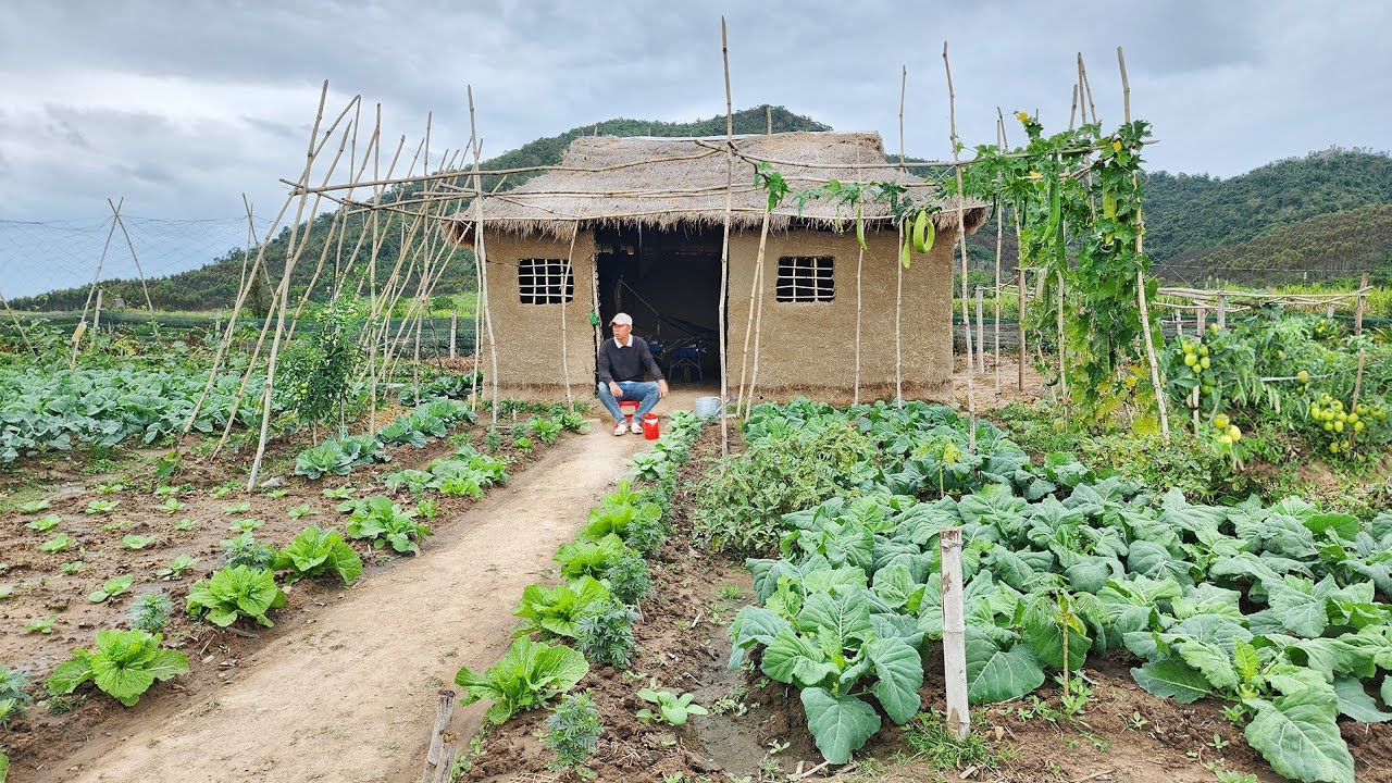 Life countryside: Peaceful moments by the self sufficient vegetable garden