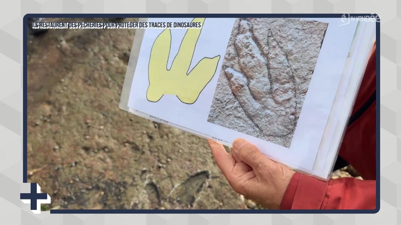 Le + de l'info : ils restaurent des pêcheries pour protéger des traces de dinosaures