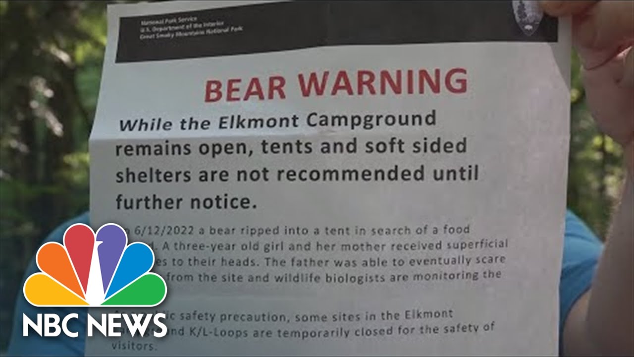 Bear Rips Into Tent, Injures Campers At Great Smoky Mountains National Park