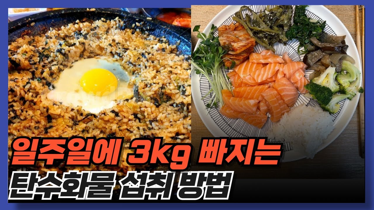 탄수화물, 단백질, 지방, 채소 이만큼 드세요. 식단 QnA 모음집