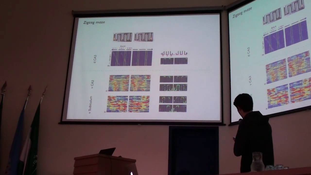Parallel and segregated place cell mechanisms within CA1 pyramidal layer