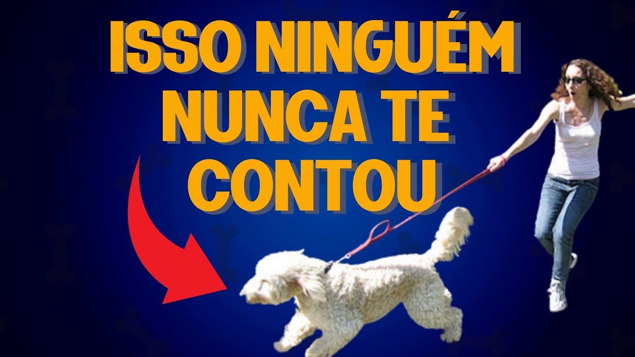 Como Ensinar Seu Cachorro a Passear do Seu Lado Sem Puxar em 15 MINUTOS NA PRÁTICA