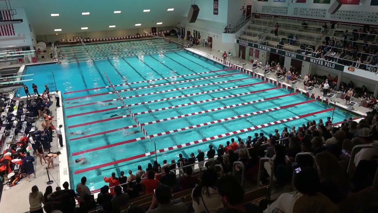 W 200 Fly H2